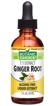 Ginger Root Liquid Extract